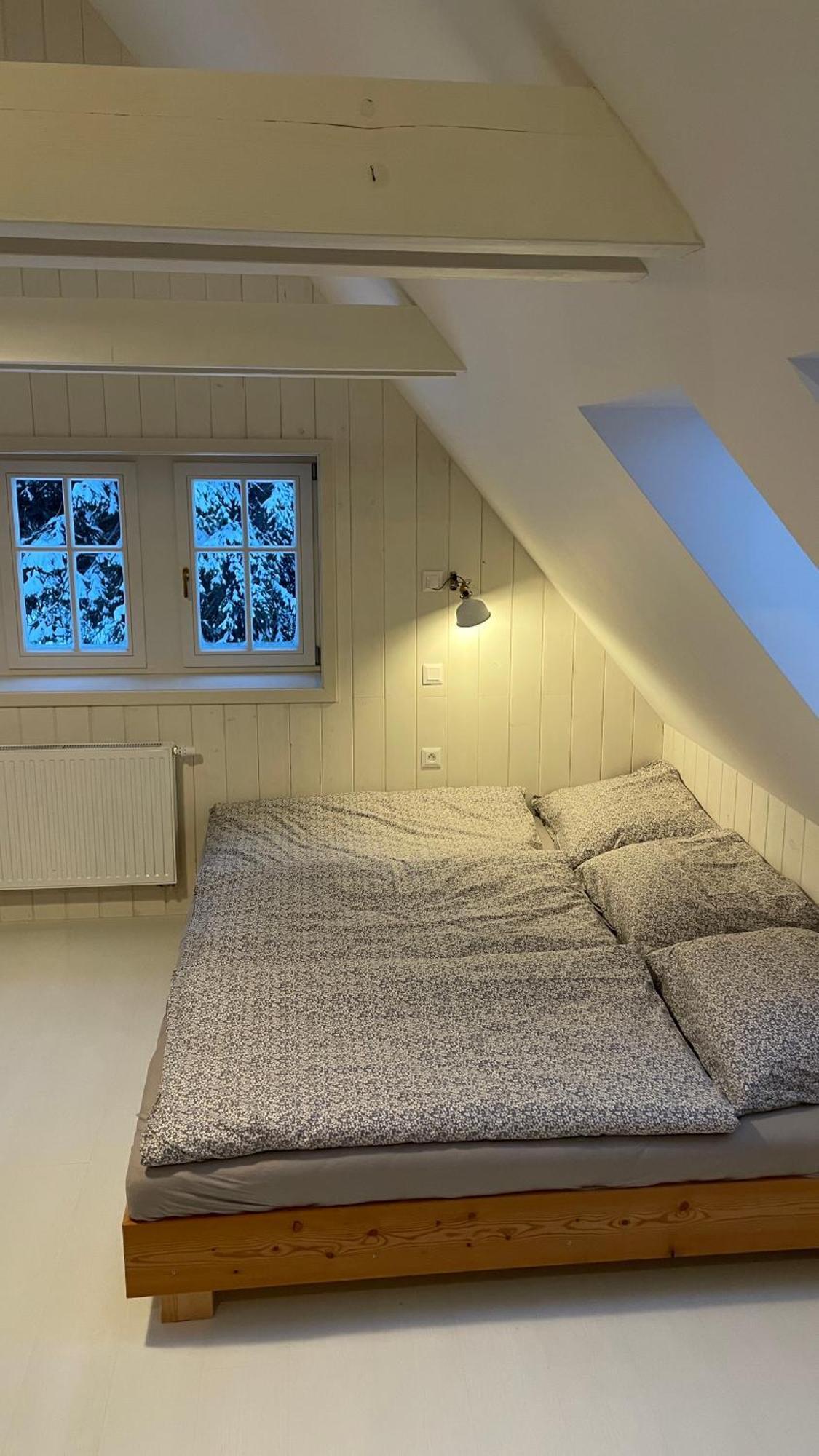 Izerina Cottage Horni Maxov Екстер'єр фото